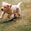 [wall001_com]_quill_dog_wallpaper_007.jpg