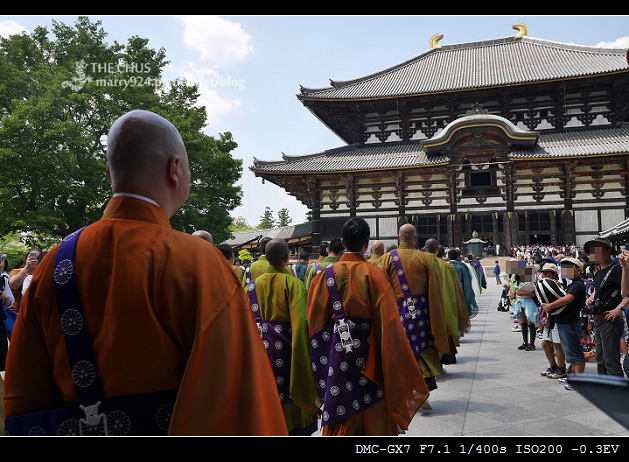 東大寺-21