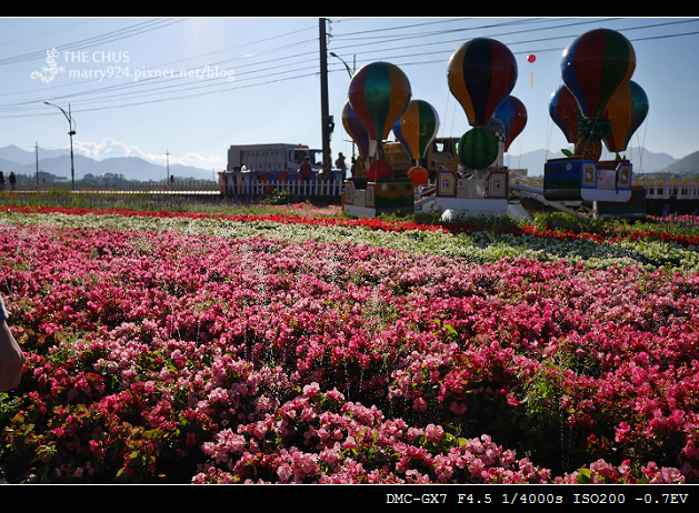 花海-8.jpg