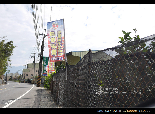 芽米-1.jpg 芽米-1.jpg