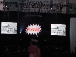 DSCN0929.JPG