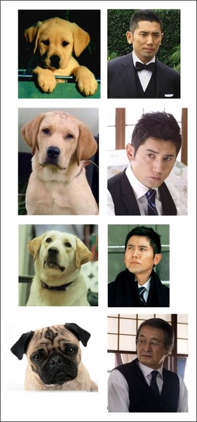 送行犬:拉布拉多的樂章 送行犬:拉布拉多的樂章