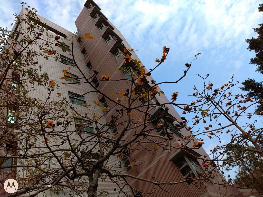 IMG_20190305_132953951.jpg IMG_20190305_132953951.jpg