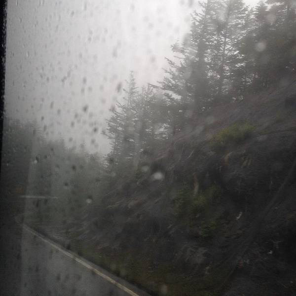 IMG_4149.JPG IMG_4149.JPG