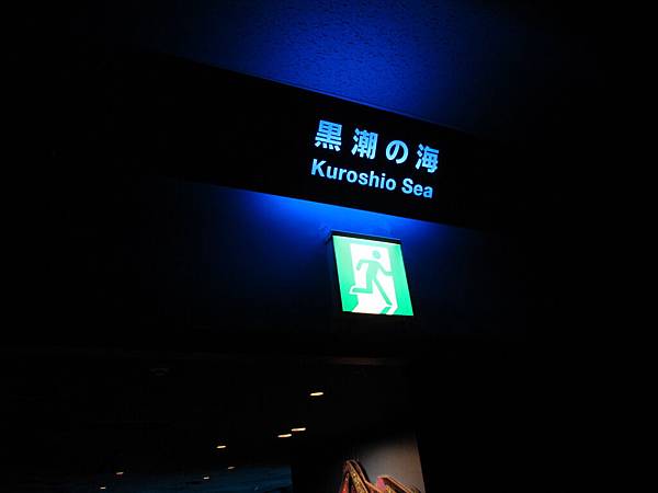 IMG_0559.JPG IMG_0559.JPG