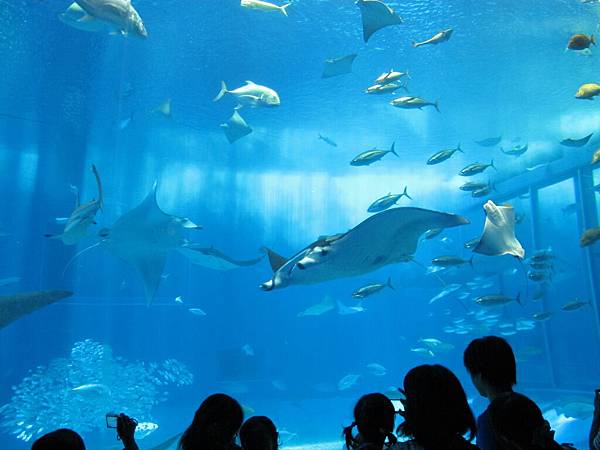 IMG_0591.JPG IMG_0591.JPG