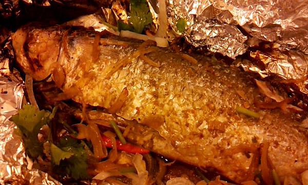 2011-1208-200010397.JPG 2011-1208-200010397.JPG