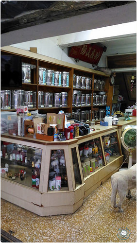 p_20161029_165623jpg_30551539521_o