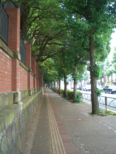 CIMG0131.jpg CIMG0131.jpg