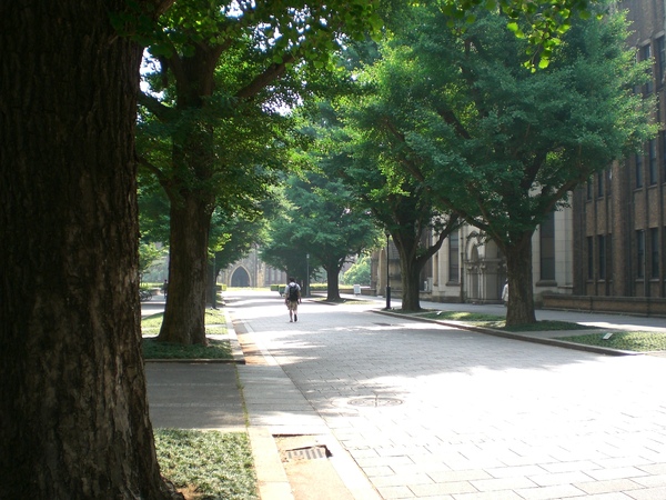 CIMG0137.JPG CIMG0137.JPG