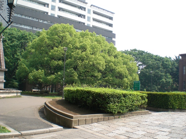 CIMG0140.JPG CIMG0140.JPG
