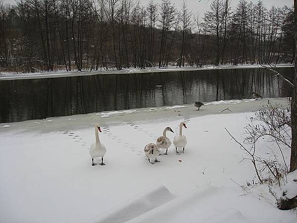 後山公園