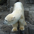 上野動物園