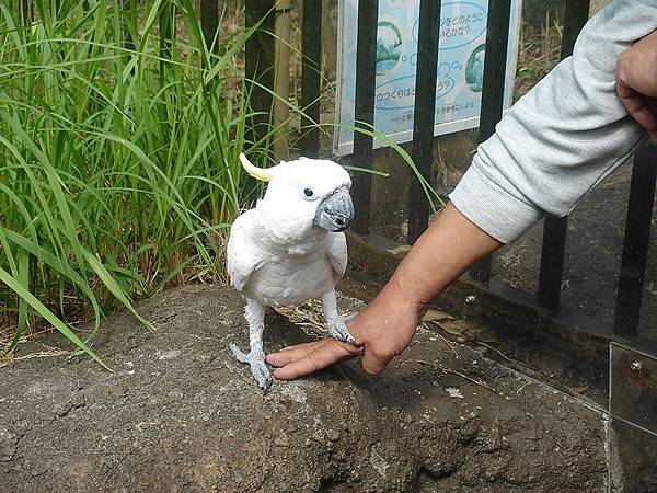 上野動物園