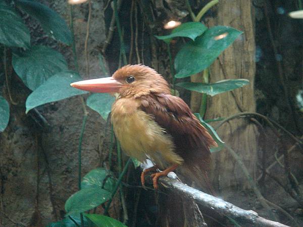 上野動物園