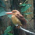 上野動物園