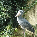 上野動物園