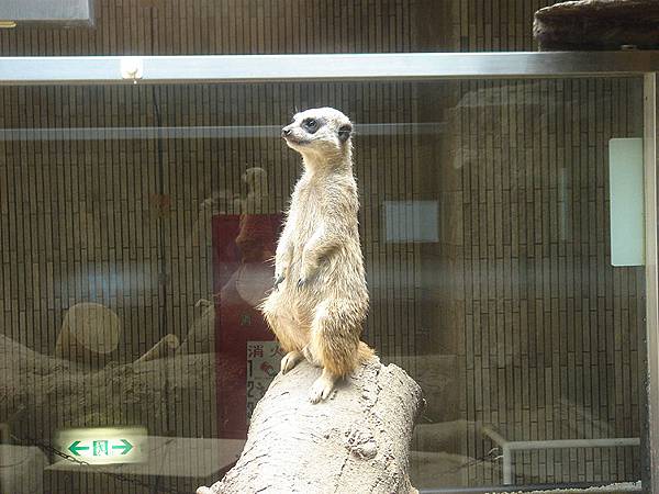 上野動物園