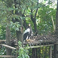 上野動物園