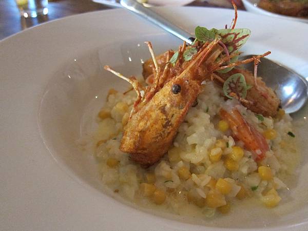 屏東。迷路小章魚 IMG_5675