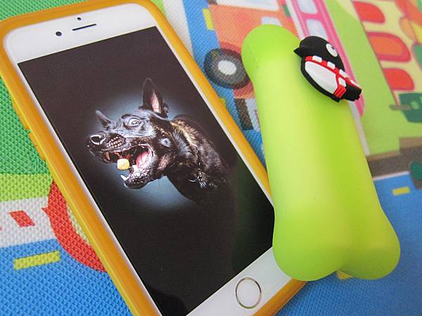 Maru企鵝小丸行動電源 IMG_6035