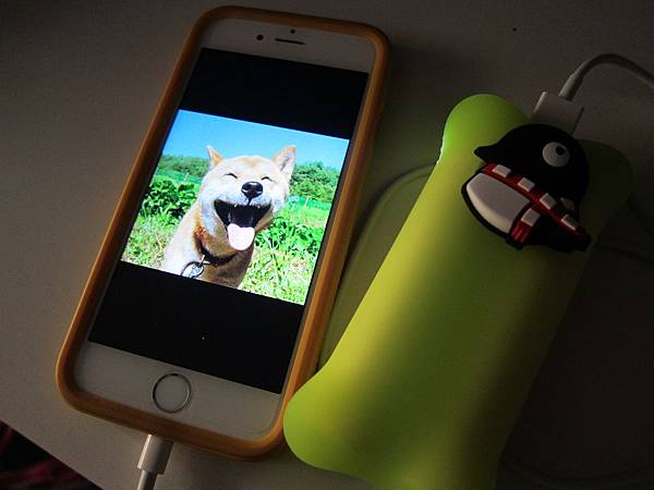 Maru企鵝小丸行動電源 IMG_6049