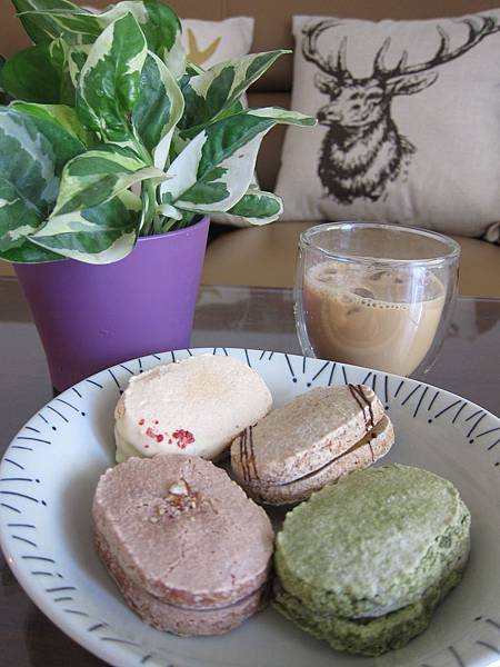 達克瓦茲 IMG_6725