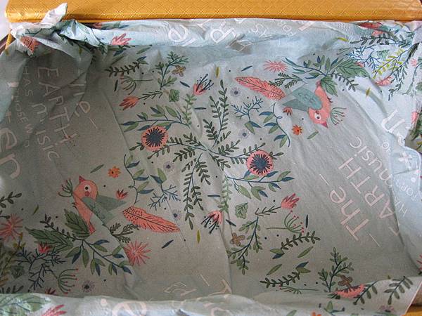 鳳棗雙喜金色元寶 IMG_6783