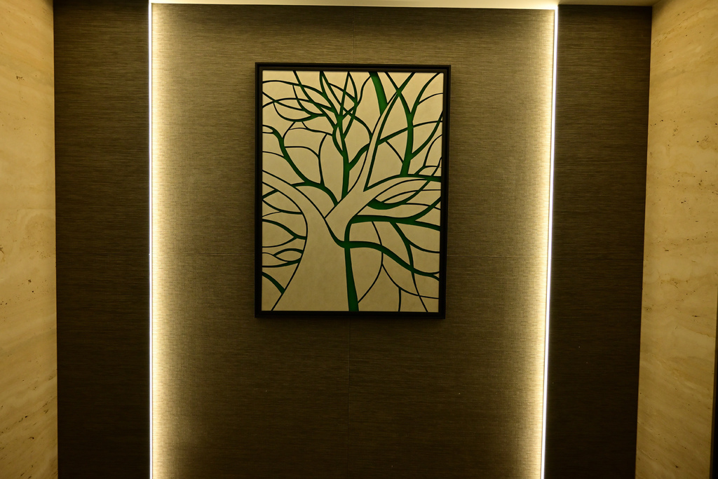 嘉義。新悅花園酒店 DSC_1796.jpg