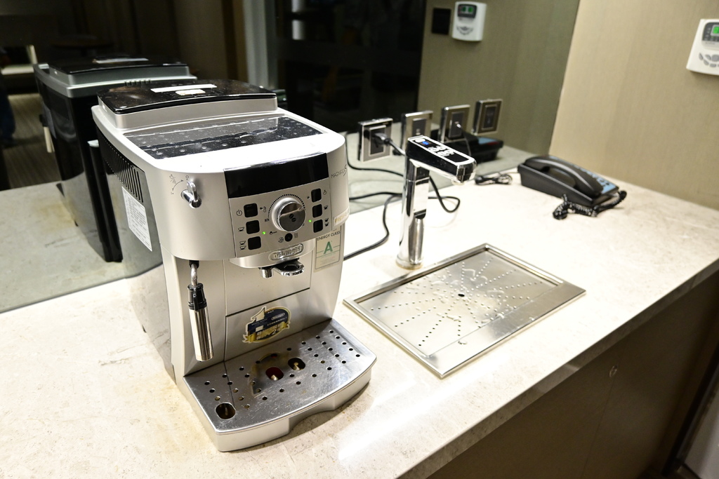 嘉義。新悅花園酒店 DSC_1816.JPG