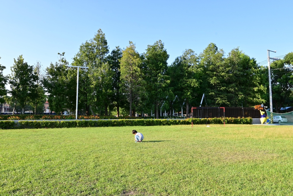 嘉義。新悅花園酒店 DSC_1790.JPG