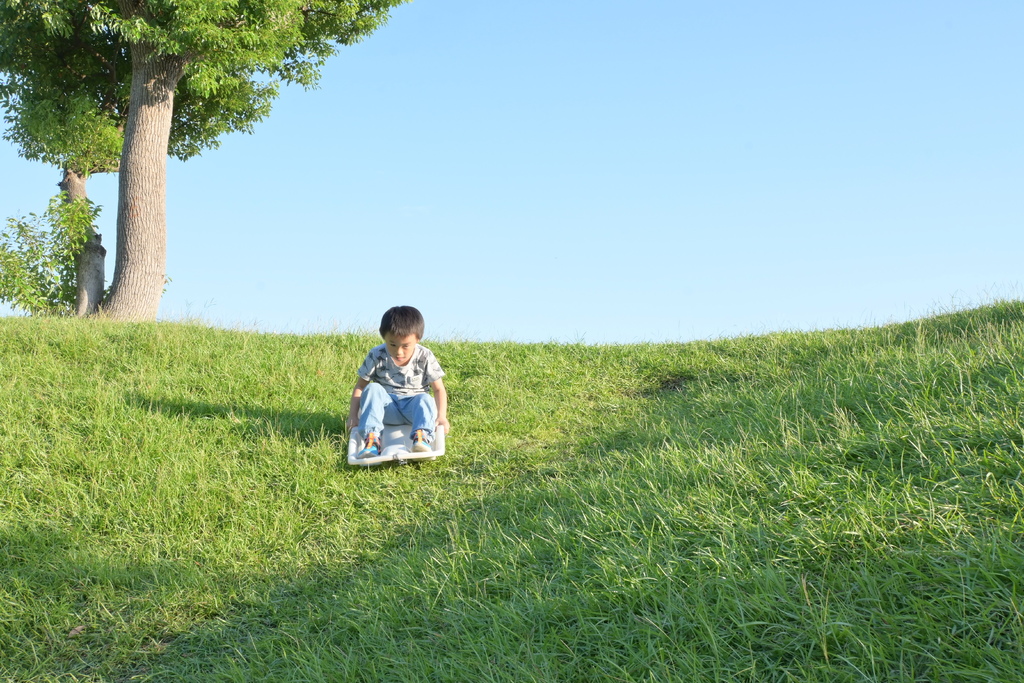 嘉義。新悅花園酒店 DSC_1788.JPG