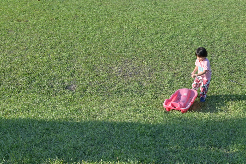嘉義。新悅花園酒店 DSC_1766.JPG