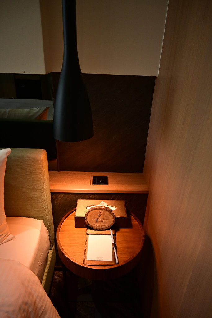 嘉義。新悅花園酒店 DSC_1801.JPG