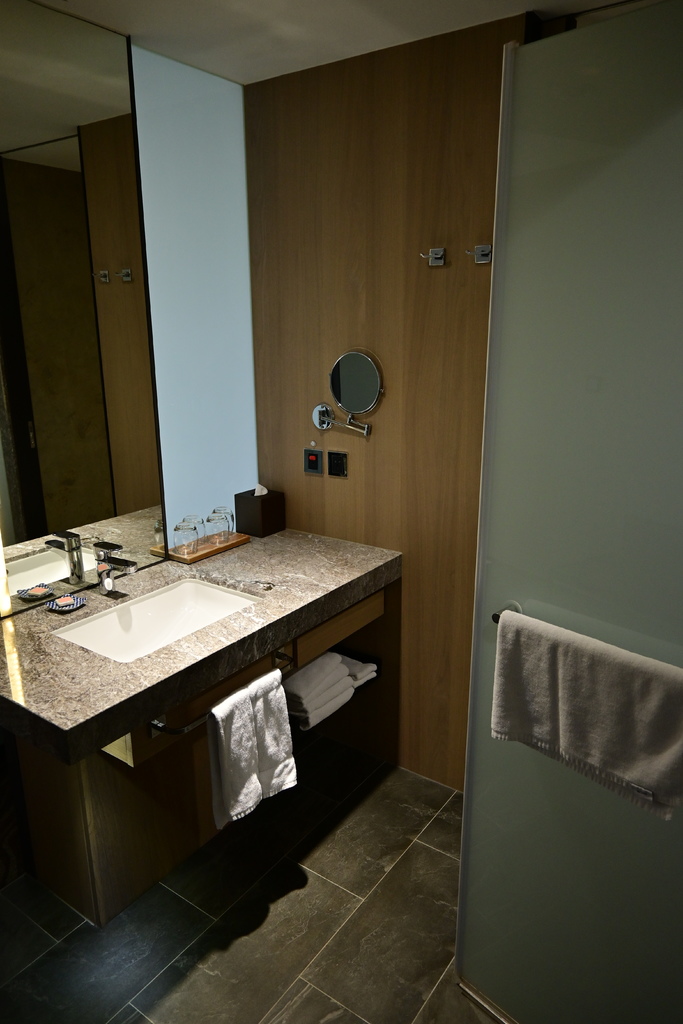 嘉義。新悅花園酒店 DSC_1805.JPG