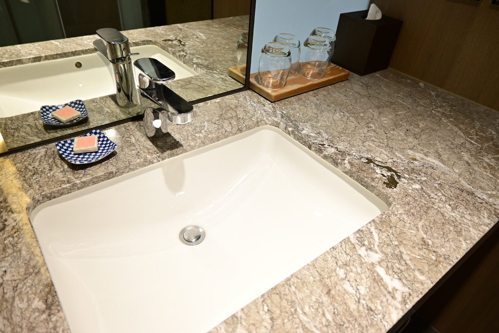 嘉義。新悅花園酒店 DSC_1806.JPG