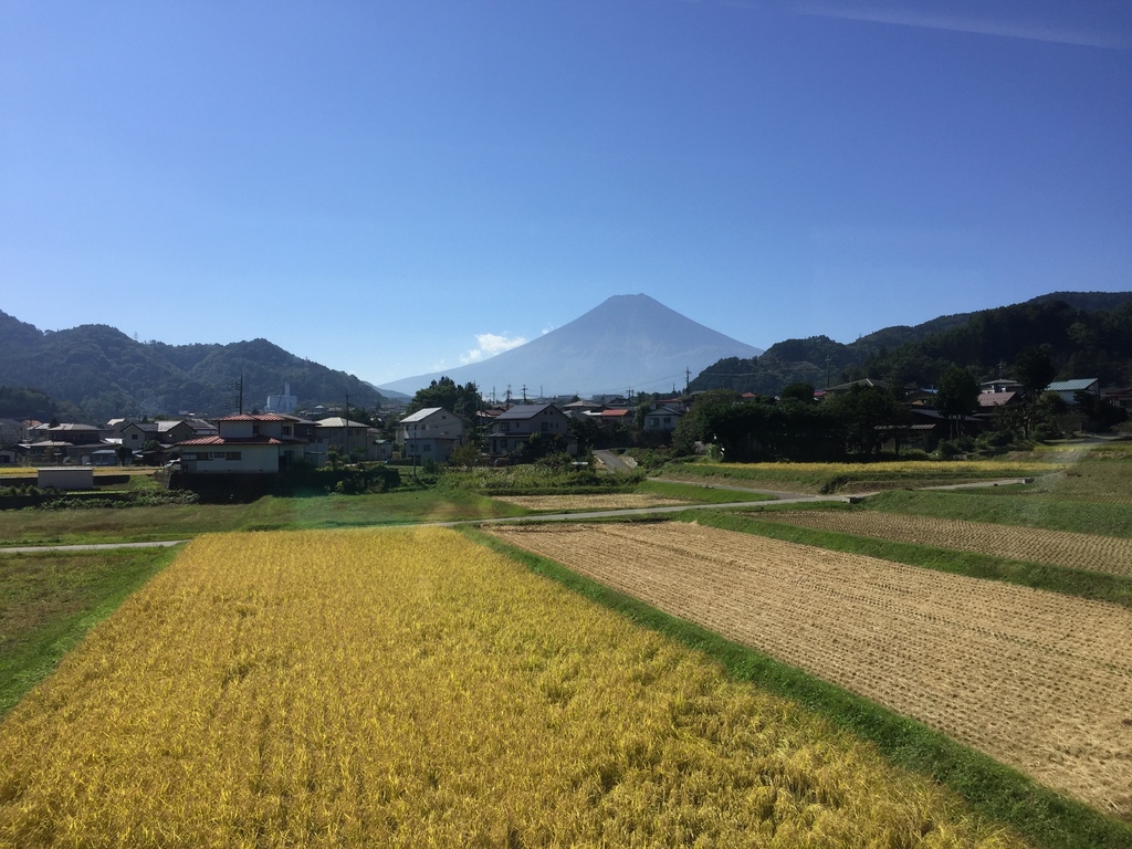 2017年10月的東京旅行 IMG_8020.JPG