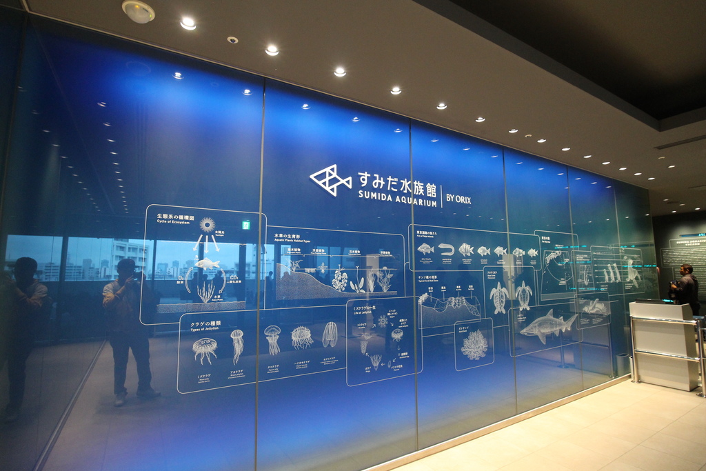 日本。2017.10東京,第6天 IMG_0013.JPG