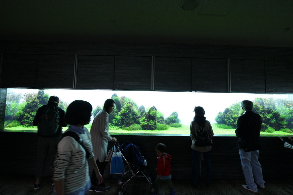 日本。2017.10東京,第6天 IMG_0025.JPG