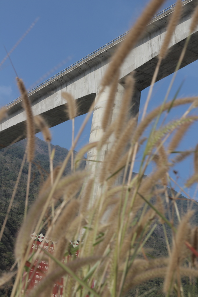 【美食】屏東,霧台,摩凱咖啡 IMG_5292.JPG