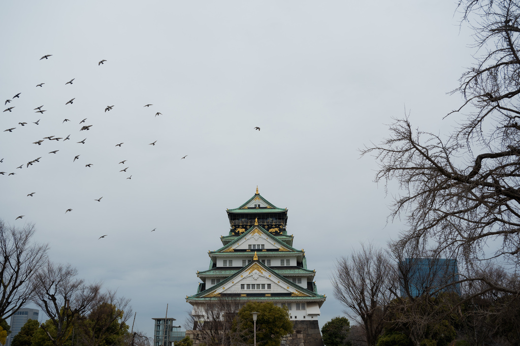 【遊記】日本。2024.02大阪，第5天，大阪城