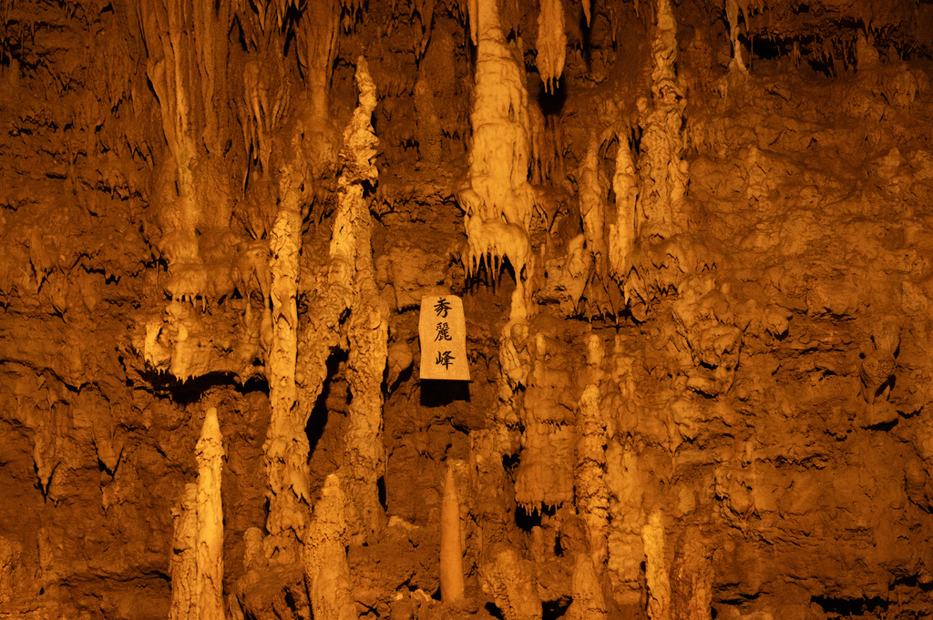 【遊記】日本。沖繩2024.10第2天,來到最有名的波上宮