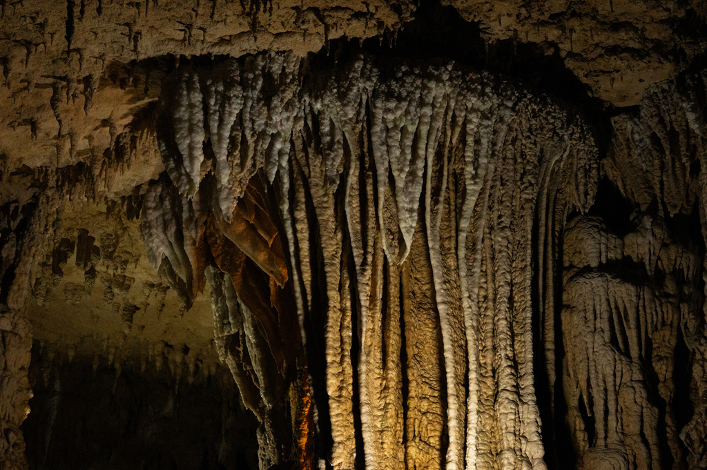 【遊記】日本。沖繩2024.10第2天,來到最有名的波上宮