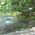 東大寺外的小河