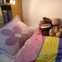 my room.jpg my room.jpg