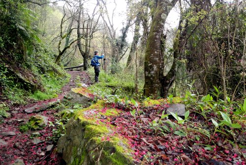 268046b9499495901040882d9cb8158e 268046b9499495901040882d9cb8158e