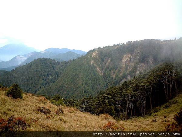 臨時 439A.jpg 臨時 439A.jpg