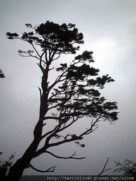 臨時 451A.jpg 臨時 451A.jpg