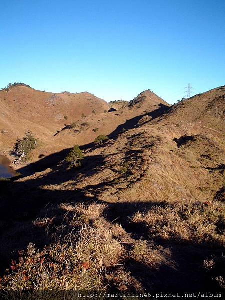 臨時 475A.jpg 臨時 475A.jpg