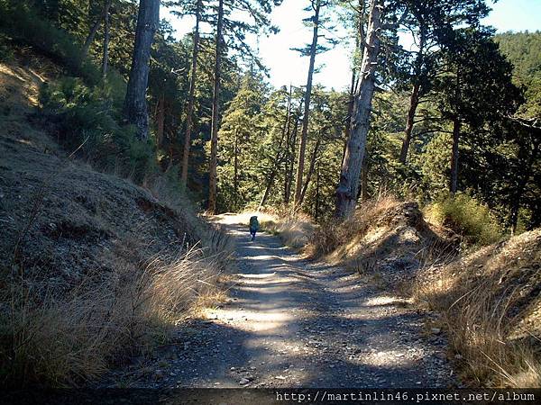 臨時 498A.jpg 臨時 498A.jpg